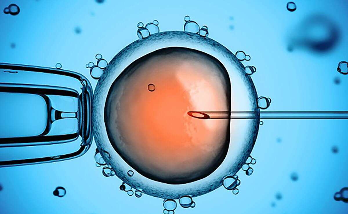 Embrion, inkişaf əsasında nələrdən təsirlənir?