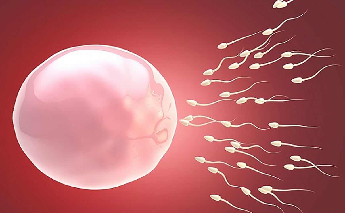 Sperma Seçimində IMSI Üsulu