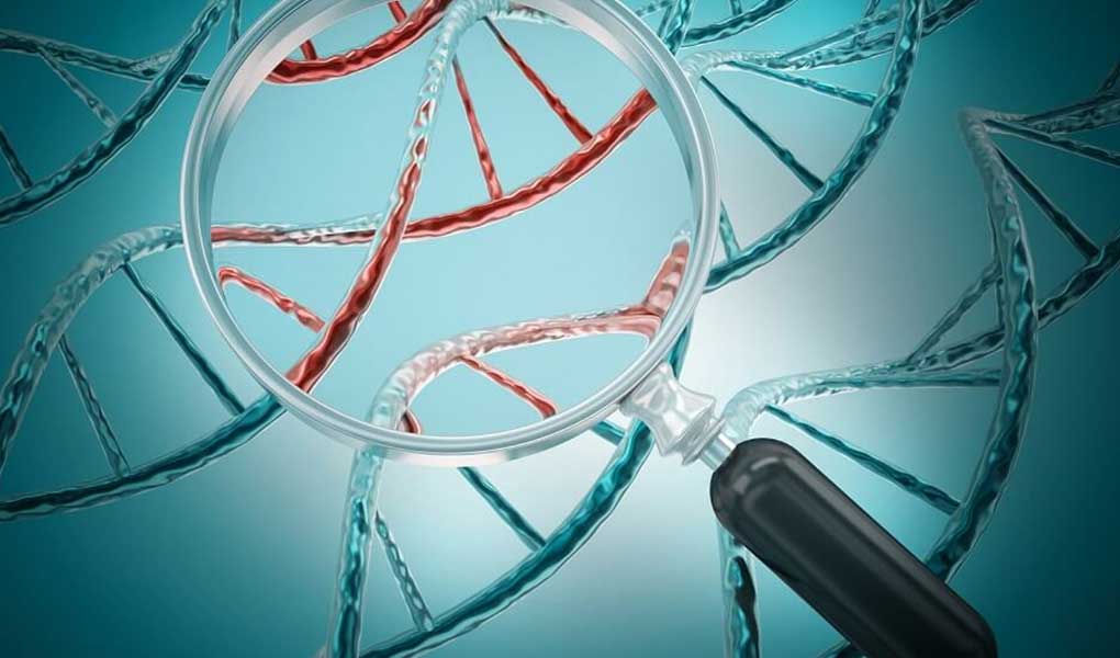 Welche Auswirkungen haben genetische Tests auf wiederholende IVF-Versuche?