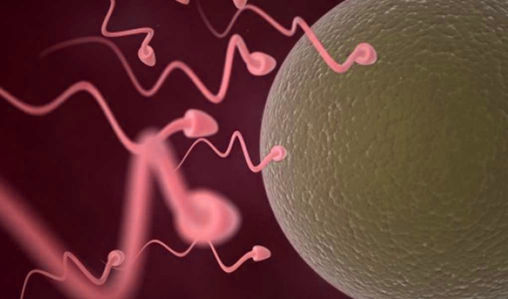 What are the Symptoms of Infertility for Men?