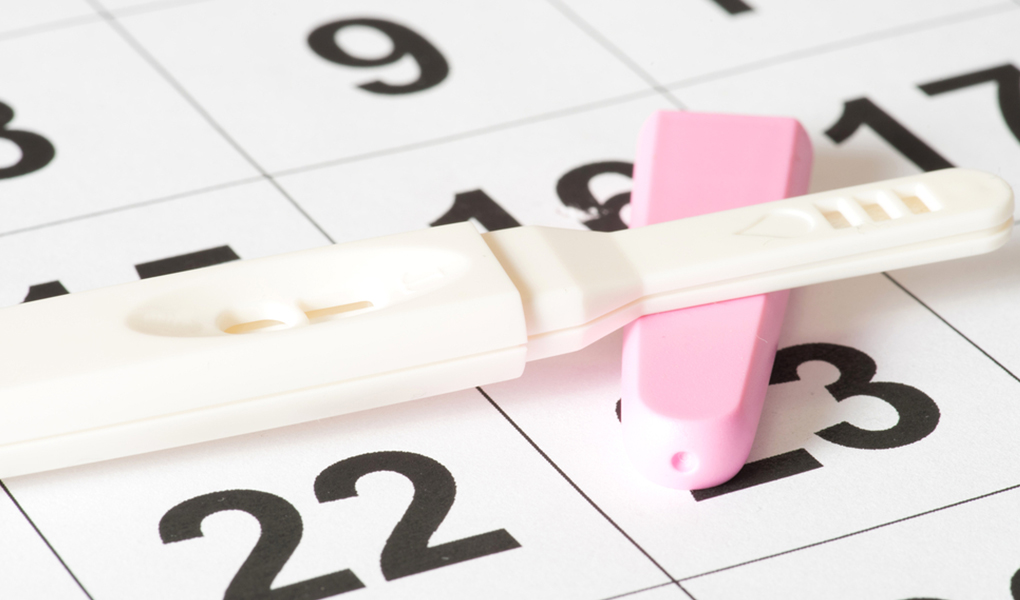 What is Ovulation Test?