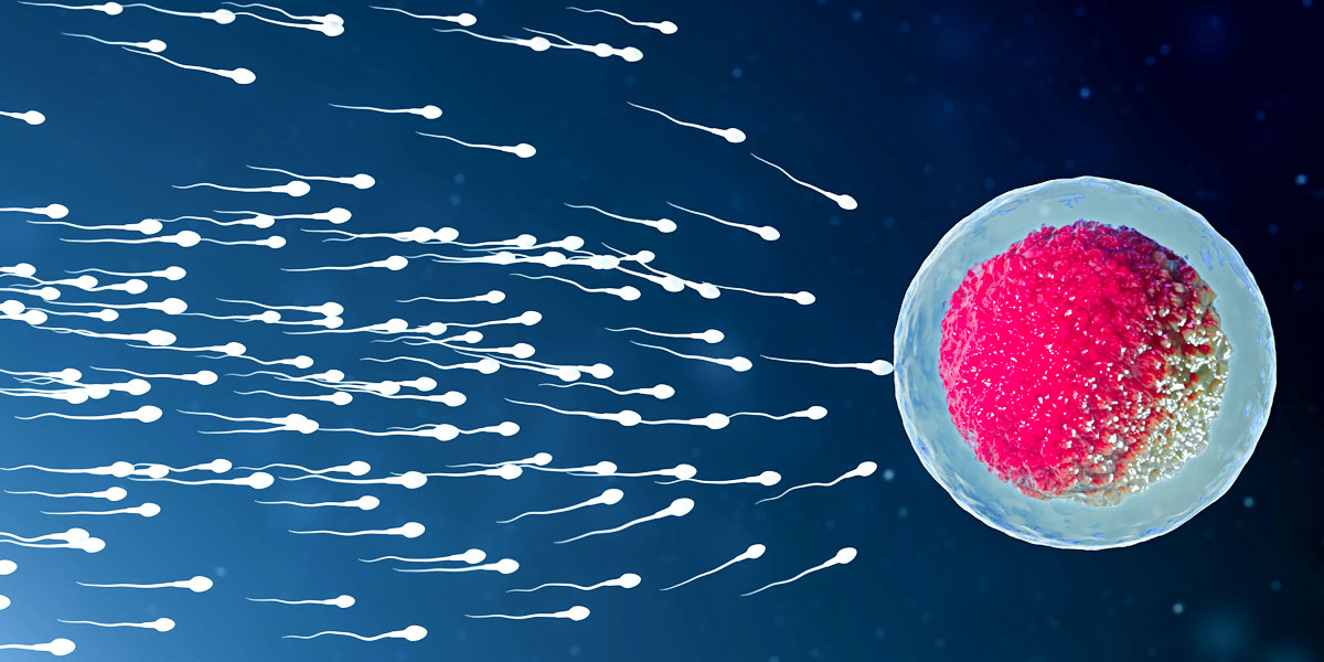 What Causes Sperm DNA Damage and How it can be Treated?