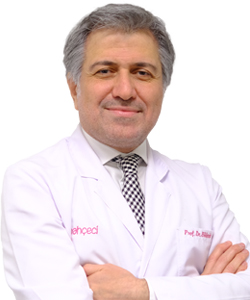 Prof. Bülent Erol