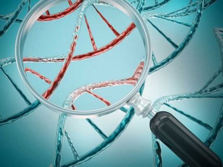 Çka është Harta Gjenetike e Embrioneve?