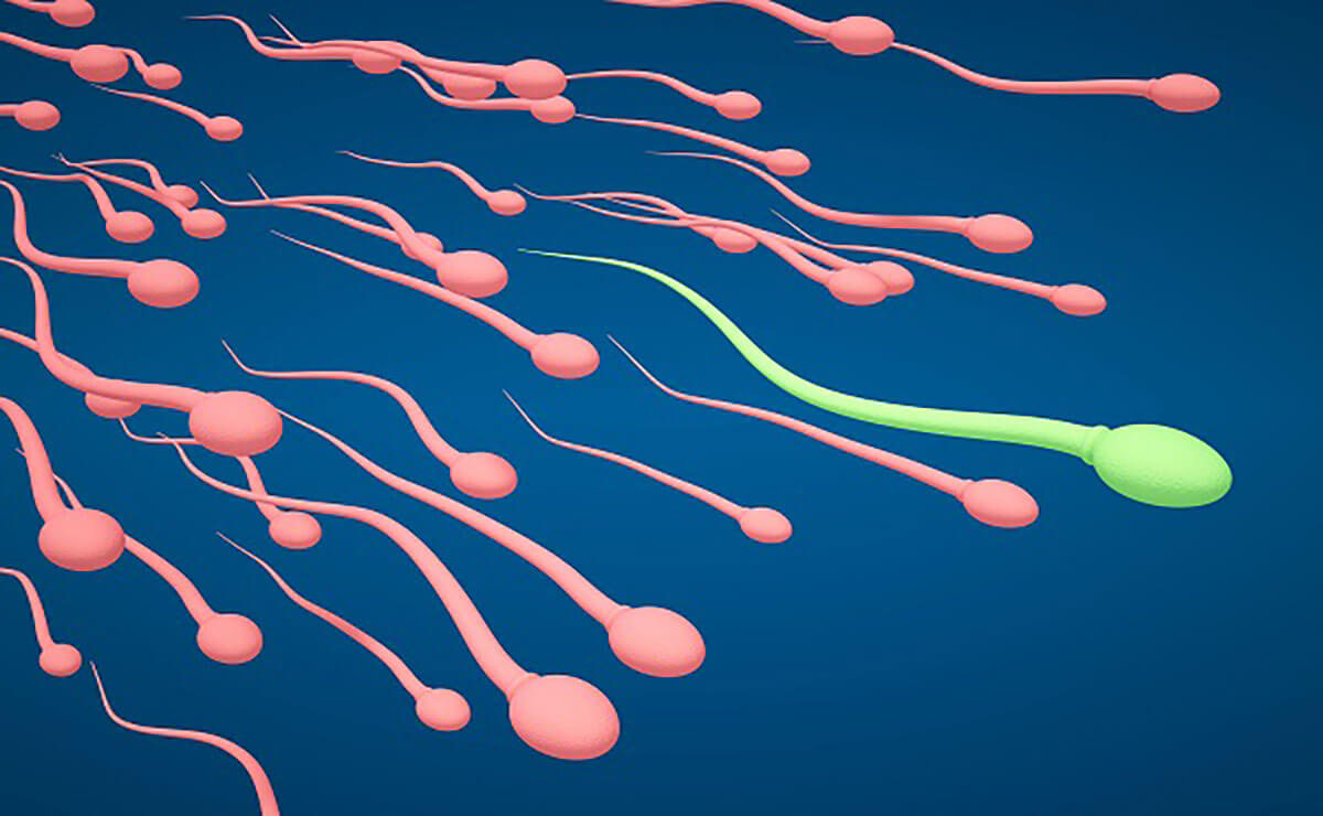Edhe meshkujt qe nuk kane sperme, mund te behen baba