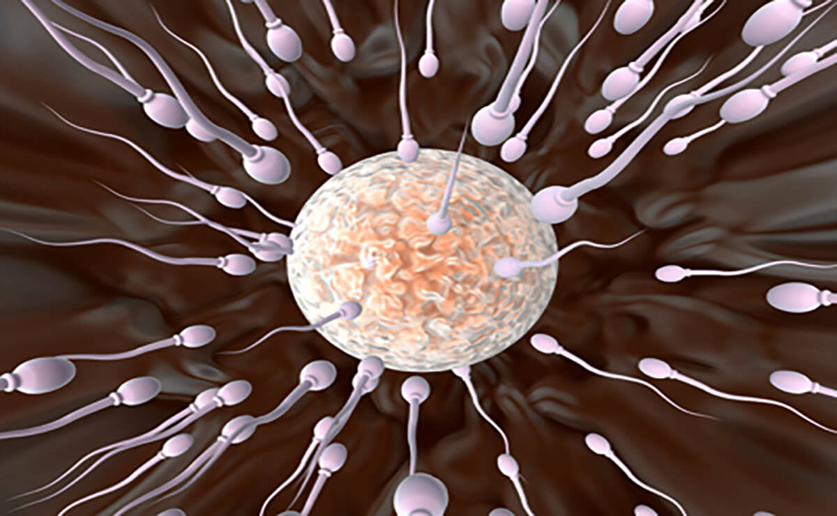 Infertiliteti i meshkujve dhe metodat e trajtimit