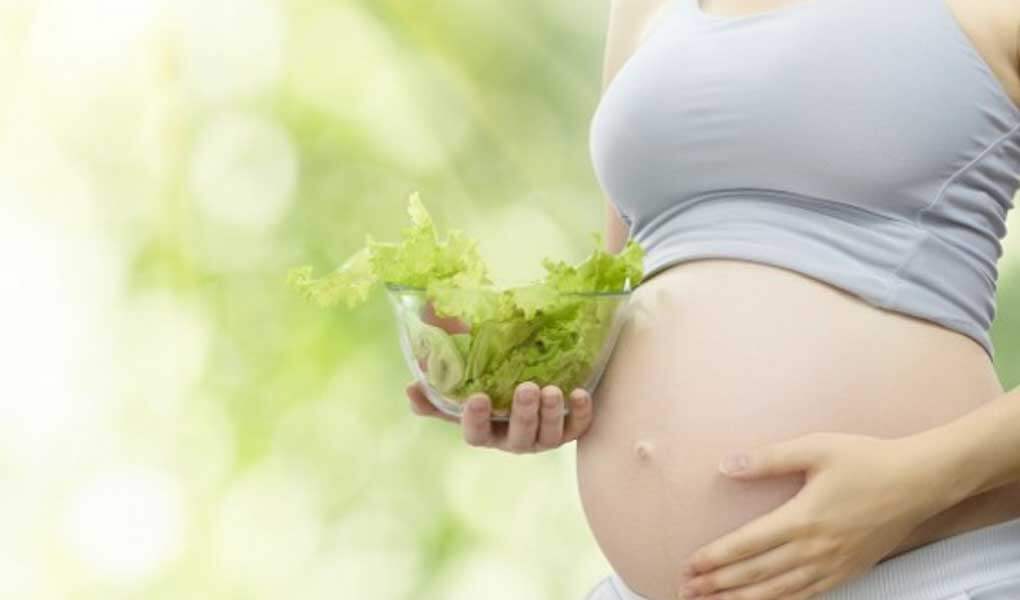 Fazla Kilolu Olmak Kadınlarda Doğurganlığı Azaltır mı?