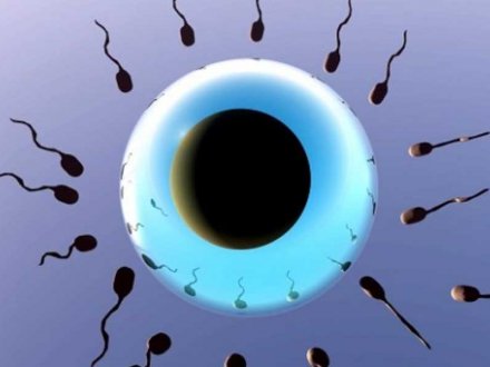 Açıklanamayan İnfertilitede Sperm Analizinin Önemi