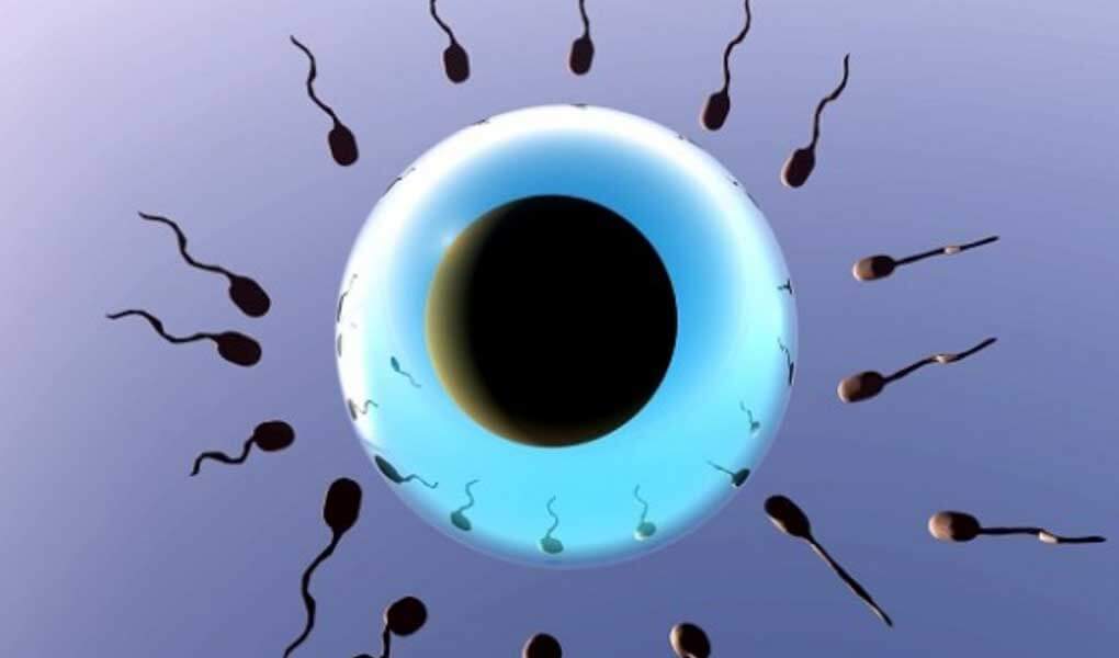 Açıklanamayan İnfertilitede Sperm Analizinin Önemi