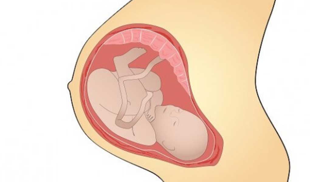 Embriyonun Anne Karnında Sağlıklı Gelişmesini Etkileyen Faktörler Nelerdir?