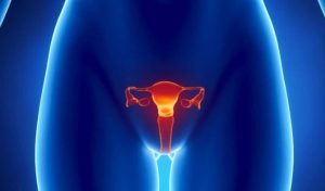 Kadın İnfertilitesinde Rahim-Endometrium Problemleri ve Tedavi Yöntemleri