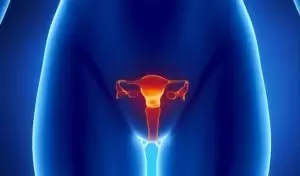 Kadın İnfertilitesinde Rahim-Endometrium Problemleri ve Tedavi Yöntemleri