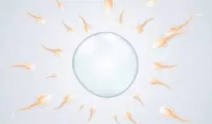 İmmünolojik İnfertilite