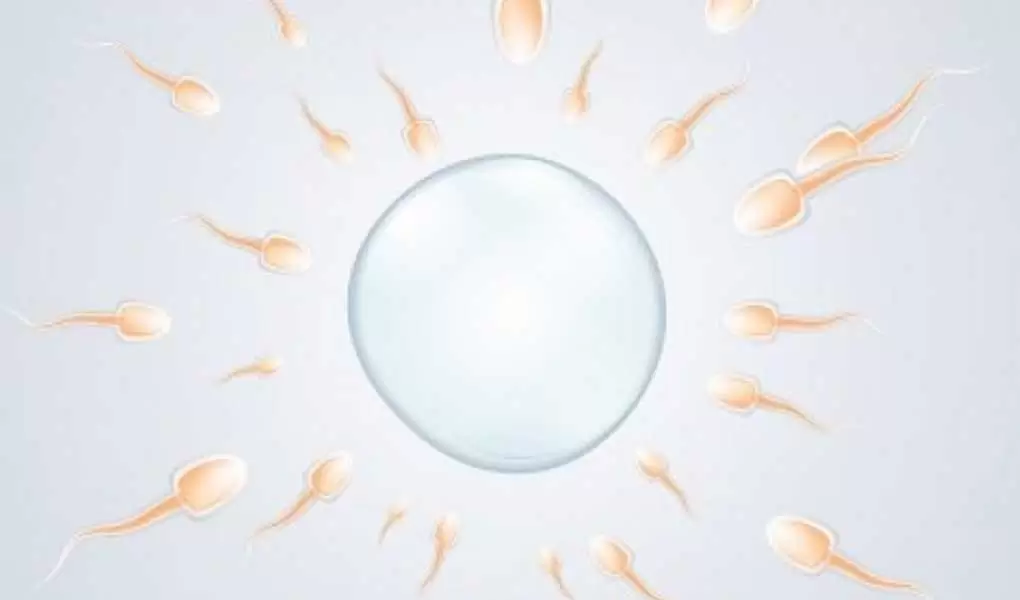 İmmünolojik İnfertilite