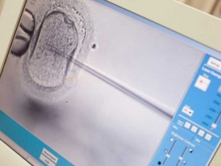 Embriyo Gelişiminin Canlı Olarak İzlenmesi ve İnkübasyonu