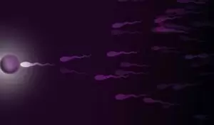 Normal Sperm Parametreleri Nelerdir?