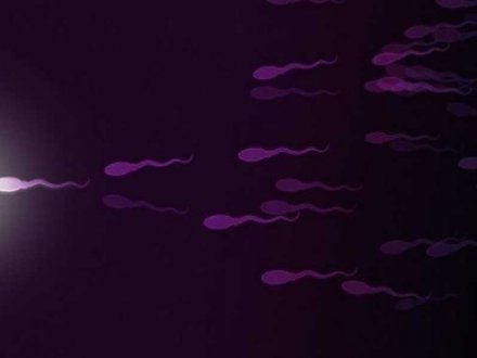 Normal Sperm Parametreleri Nelerdir?