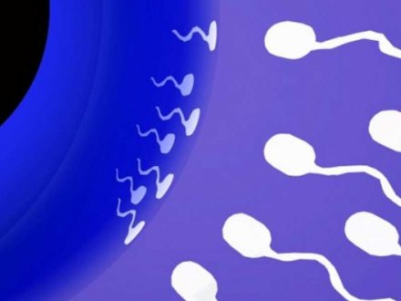 Sperm Morfoloji (Şekil) Bozukluklarının Önemi Nedir?