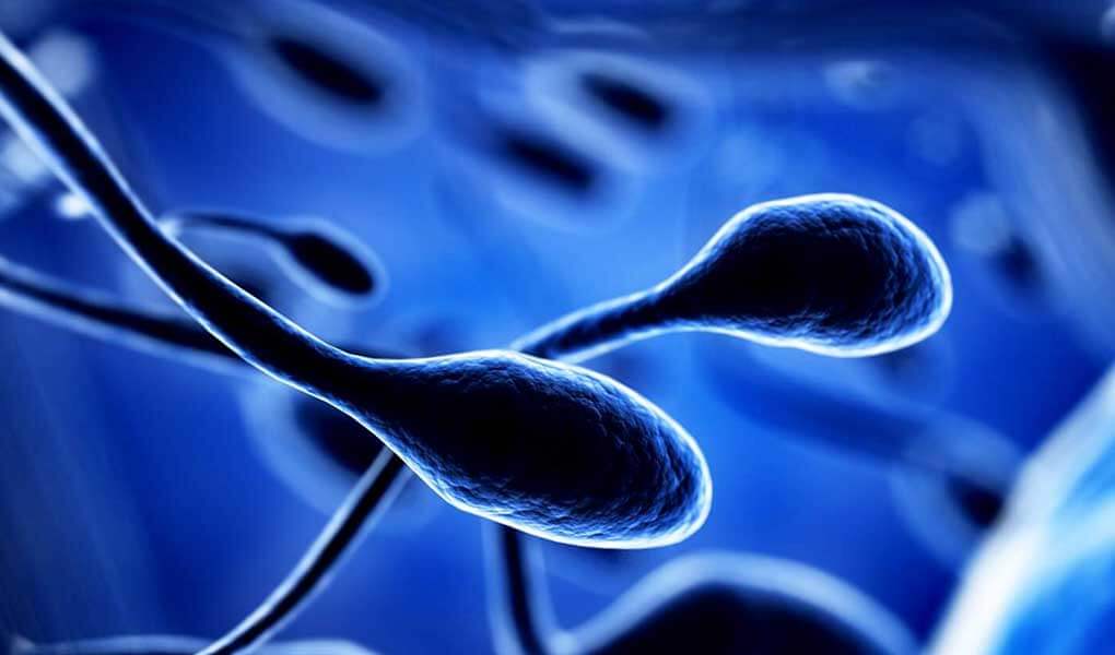 Kanser Tedavileri Sperm Üretimine Nasıl Etki Eder?