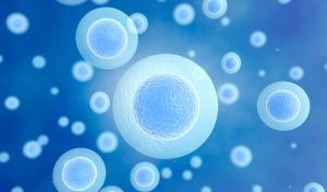 Yumurta Toplama İşlemi Sonrasında Dikkat Edilmesi Gereken Noktalar