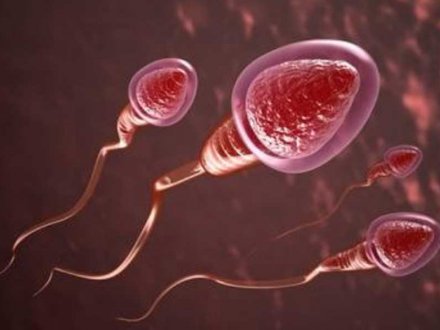 Sperm Analizi (Spermiogram) Testi Nedir, Nasıl Yapılır?