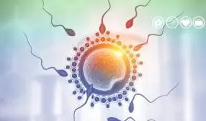 Globozoospermi (Sperm Bozukluğu) Nedir?