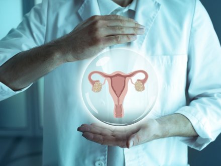 Endometrium Nedir, Kalınlığı Ne Anlama Gelir?