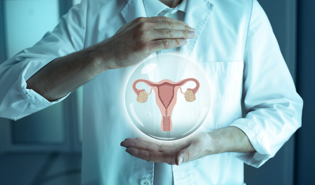 Endometrium Nedir, Kalınlığı Ne Anlama Gelir?