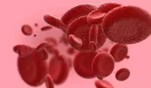 HGB (Hemoglobin) Nedir? Kaç Olmalı, Düşüklüğü ve İdrarda Pozitifliği Ne Anlama Gelir?