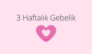 Adım Adım Gebelik: Hamilelikte 3. Hafta