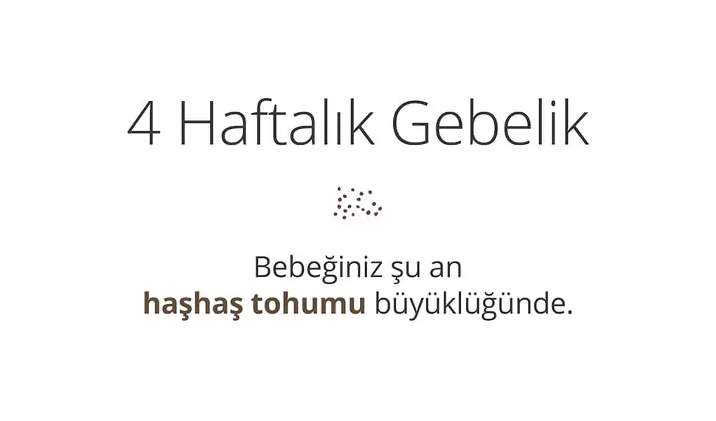 Adım Adım Gebelik: Hamilelikte 4. Hafta