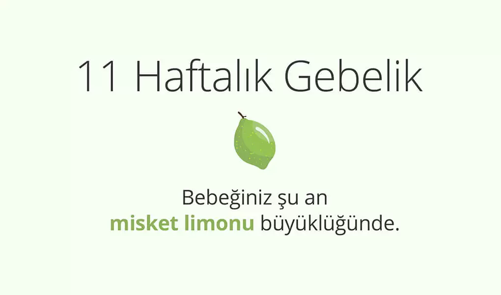 Adım Adım Gebelik: Hamilelikte 11. Hafta