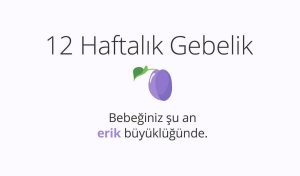 Adım Adım Gebelik: Hamilelikte 12. Hafta