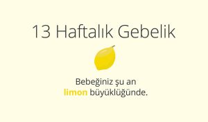 Adım Adım Gebelik: Hamilelikte 13. Hafta