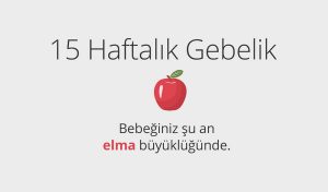 Adım Adım Gebelik: Hamilelikte 15. Hafta