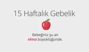Adım Adım Gebelik: Hamilelikte 15. Hafta