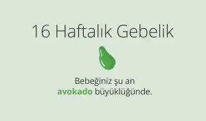 Adım Adım Gebelik: Hamilelikte 16. Hafta