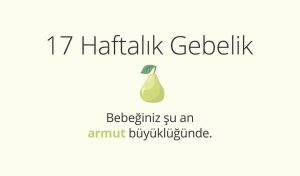 Adım Adım Gebelik: Hamilelikte 17. Hafta