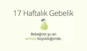 Adım Adım Gebelik: Hamilelikte 17. Hafta