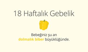 Adım Adım Gebelik: Hamilelikte 18. Hafta