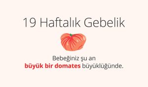 Adım Adım Gebelik: Hamilelikte 19. Hafta