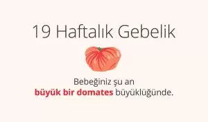 Adım Adım Gebelik: Hamilelikte 19. Hafta