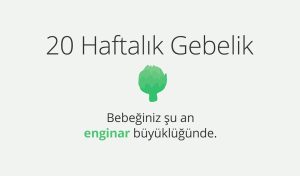 Adım Adım Gebelik: Hamilelikte 20. Hafta