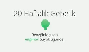 Adım Adım Gebelik: Hamilelikte 20. Hafta