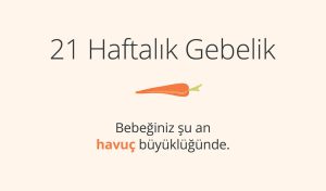 Adım Adım Gebelik: Hamilelikte 21. Hafta