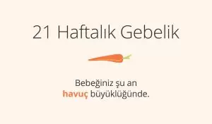 21 Hafta Gebelik: Bebeğin ve Annenin Gelişimi