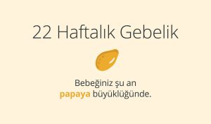 Adım Adım Gebelik: Hamilelikte 22. Hafta