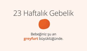 Adım Adım Gebelik: Hamilelikte 23. Hafta