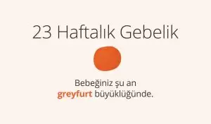 Adım Adım Gebelik: Hamilelikte 23. Hafta
