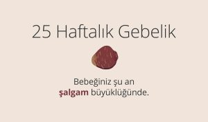 Adım Adım Gebelik: Hamilelikte 25. Hafta